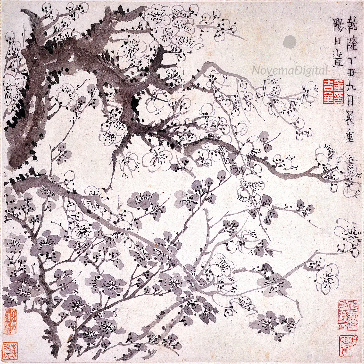 Jin Nong - Plum Blossom