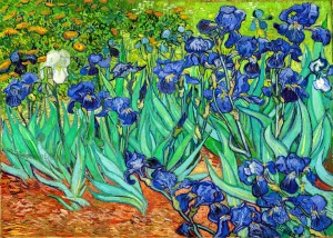 Vincent van Gogh - Irises (1889)